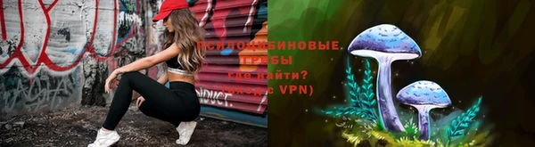 ПСИЛОЦИБИНОВЫЕ ГРИБЫ Горняк