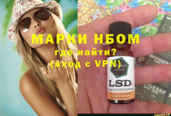 ПСИЛОЦИБИНОВЫЕ ГРИБЫ Горняк