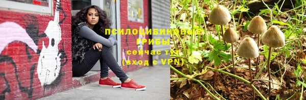 spice Вязники