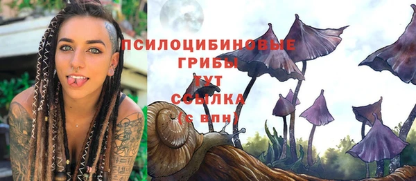 spice Вязники