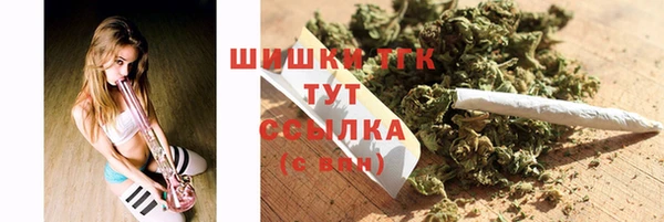 spice Горнозаводск