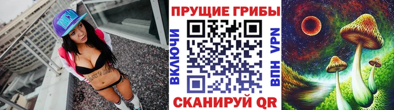 продажа наркотиков  Заинск  Псилоцибиновые грибы мицелий 